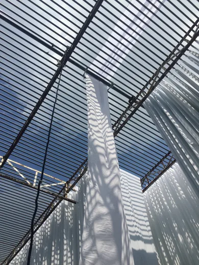 White fabric drying on a rooftop frame, tied with rope