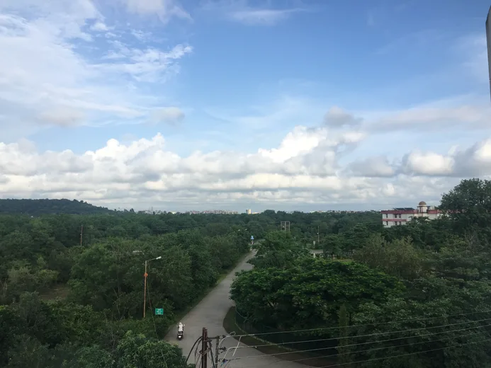 An aerial view of a tree-lined path with a person riding a scooter