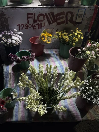 A flower stall with white blooms, daisies and yellow flowers
