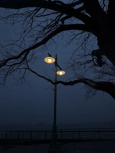 A street lamp and bare branches at dusk beside the river