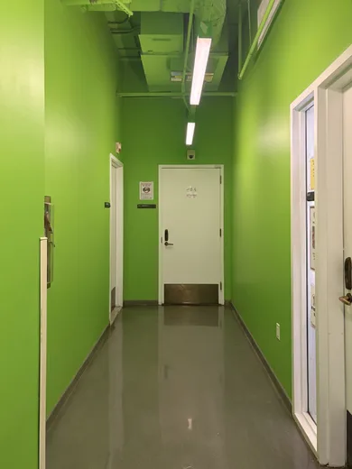 A bright green corridor with a white door