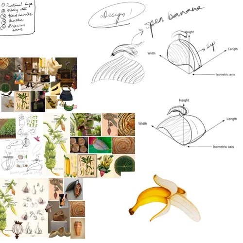 Research and ideation — nursery-raised banana plants, form studies