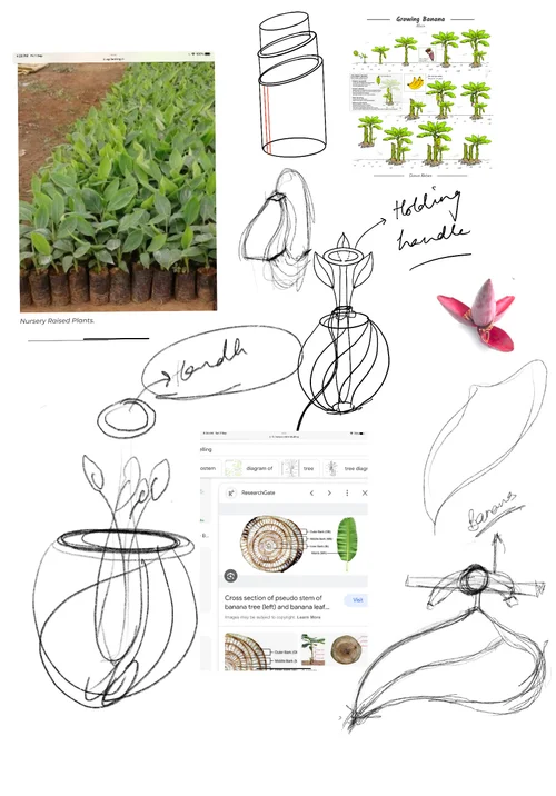 Research and ideation — banana growth stages, handle and vessel studies