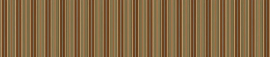 Collection lining design 2