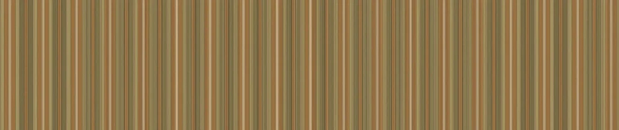 Collection lining design 3