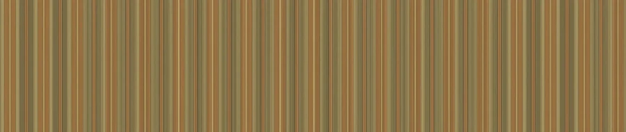 Collection lining design 4